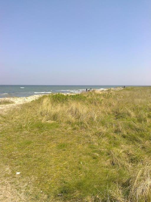 Erholung Auf Dem Land Zwischen Ostsee Und Schlei Stoltebüll Exterior foto